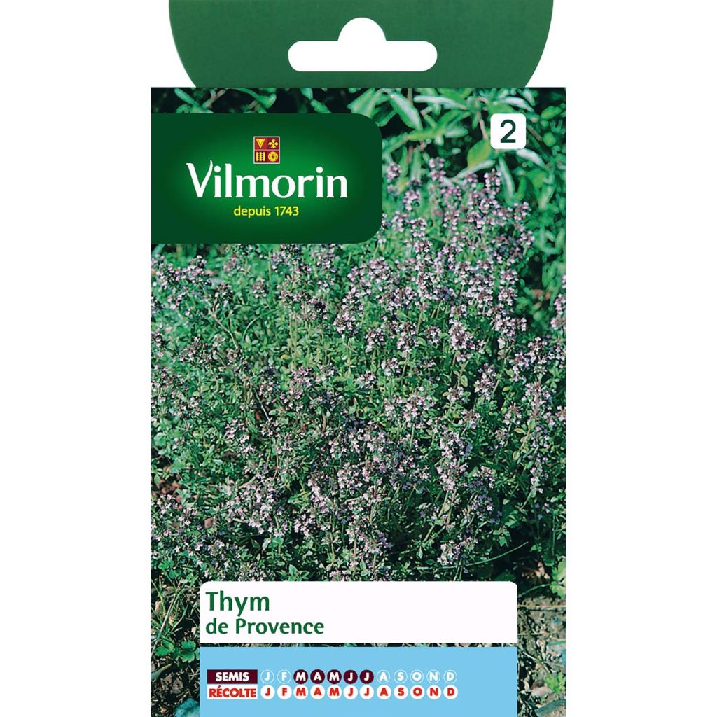 Thym de Provence - Vilmorin