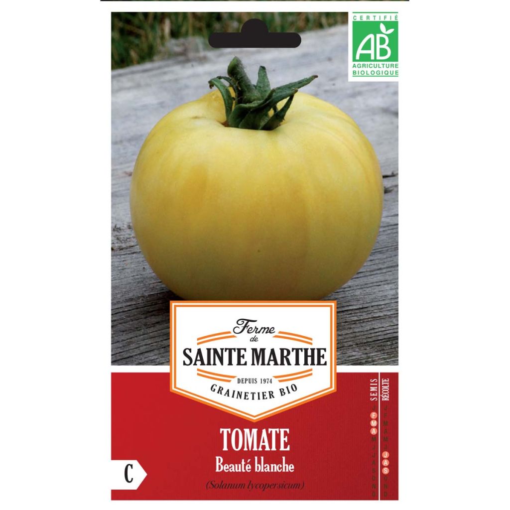 Tomate Beauté Blanche AB - Ferme de Ste Marthe