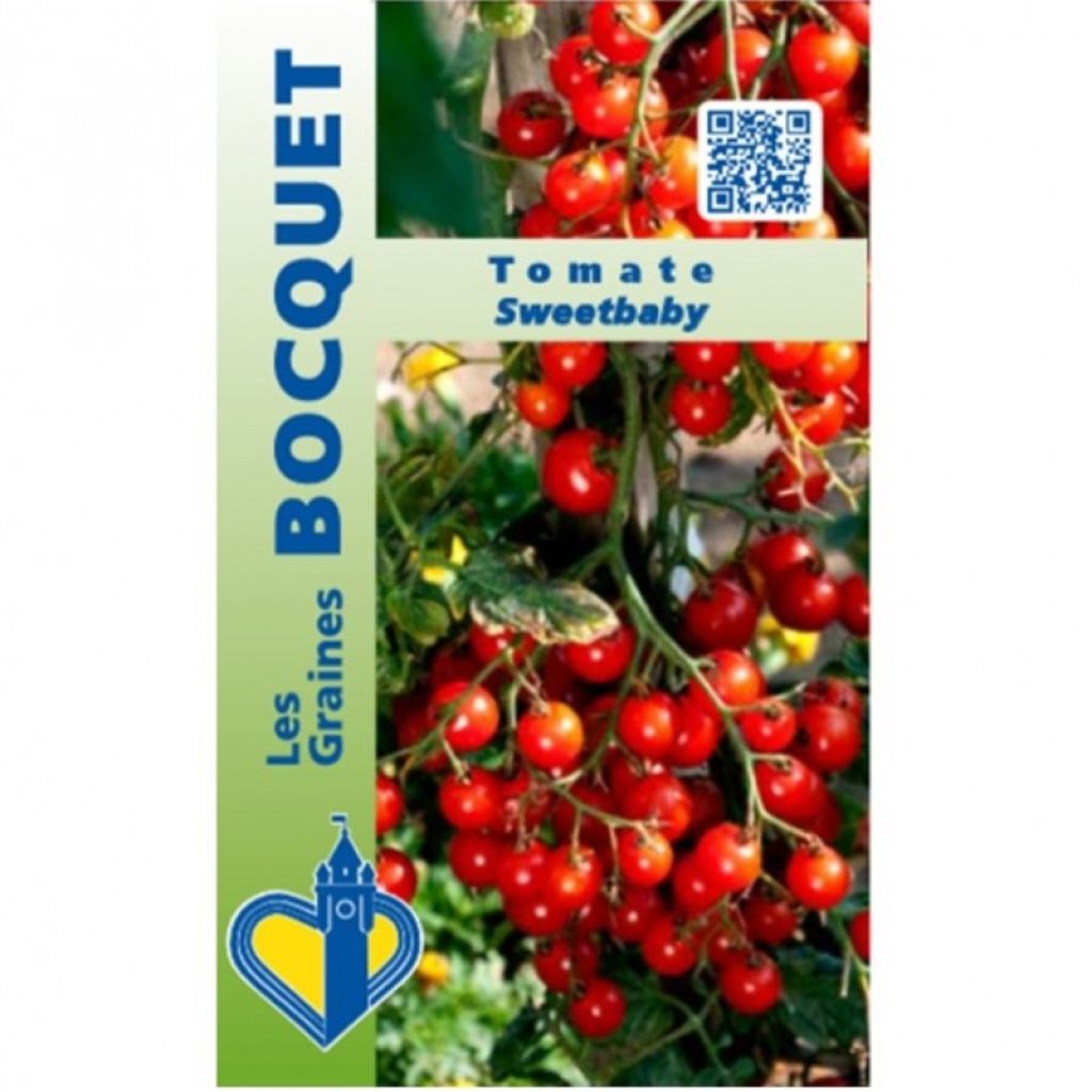 Tomate cerise Sweetbaby - Graines Bocquet