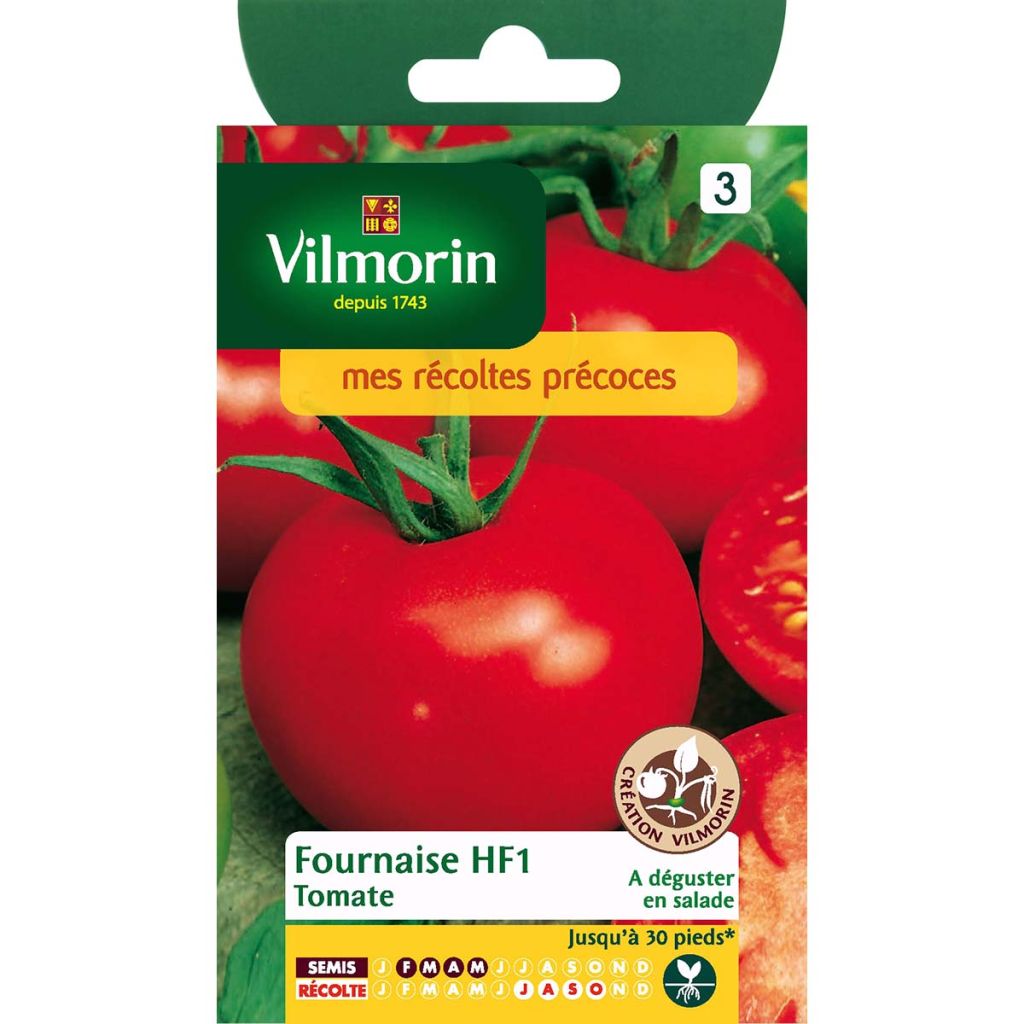 Tomate Fournaise HF1 - Vilmorin