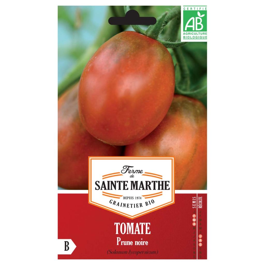 Tomate Prune Noire AB - Ferme de Ste Marthe