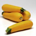 Courgette Easy Pick Green F1