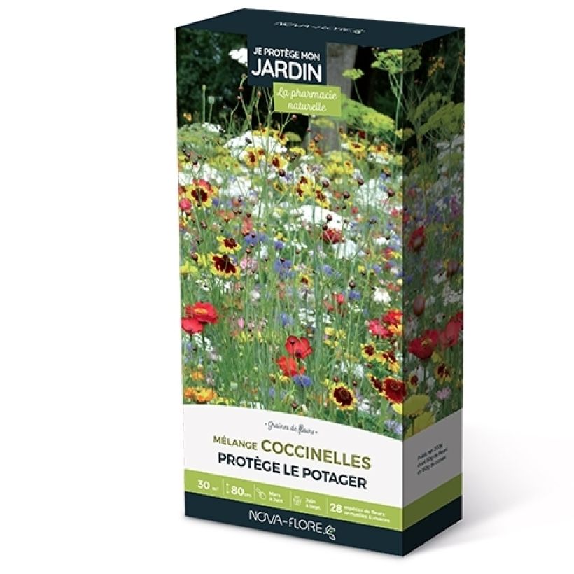 Mélange de graines pour coccinelles (Floraison)