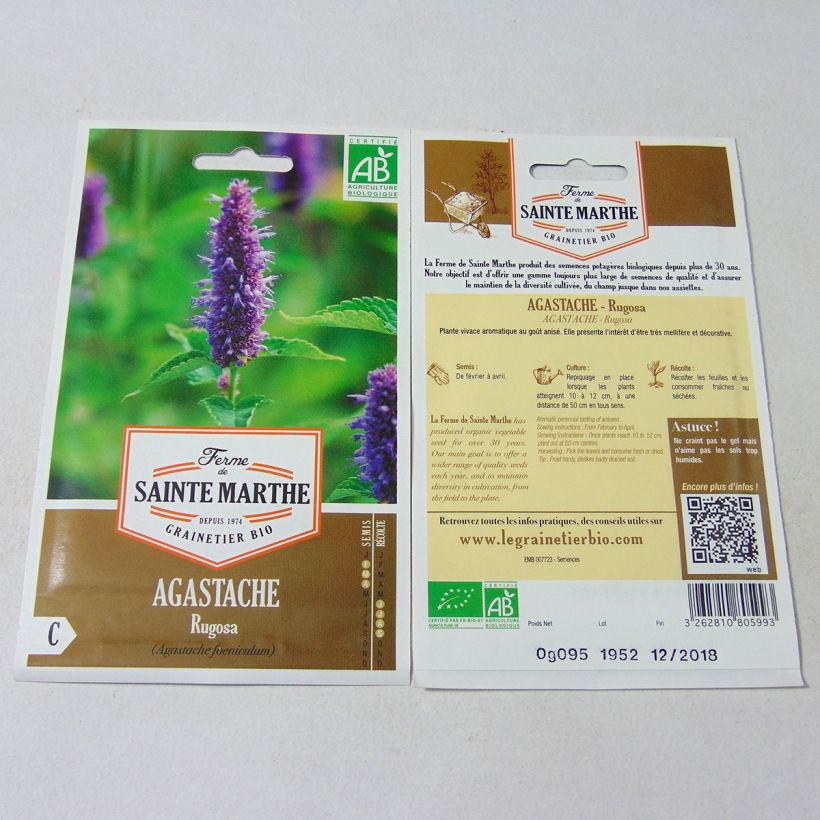 Exemple de spécimen de Agastache rugosa Bio - Ferme de Sainte Marthe tel que livré