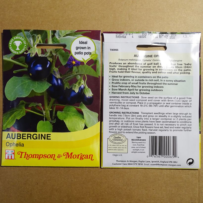 Exemple de spécimen de Aubergine Ophelia F1 - Solanum melongea Graines tel que livré