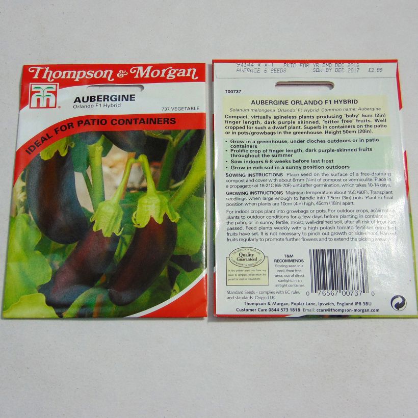 Exemple de spécimen de Aubergine Orlando - Solanum melongea Graines tel que livré