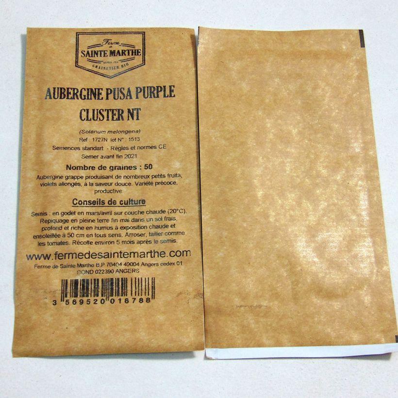 Exemple de spécimen de Aubergine Pusa Purple Cluster NT - Ferme de Sainte Marthe Graines tel que livré