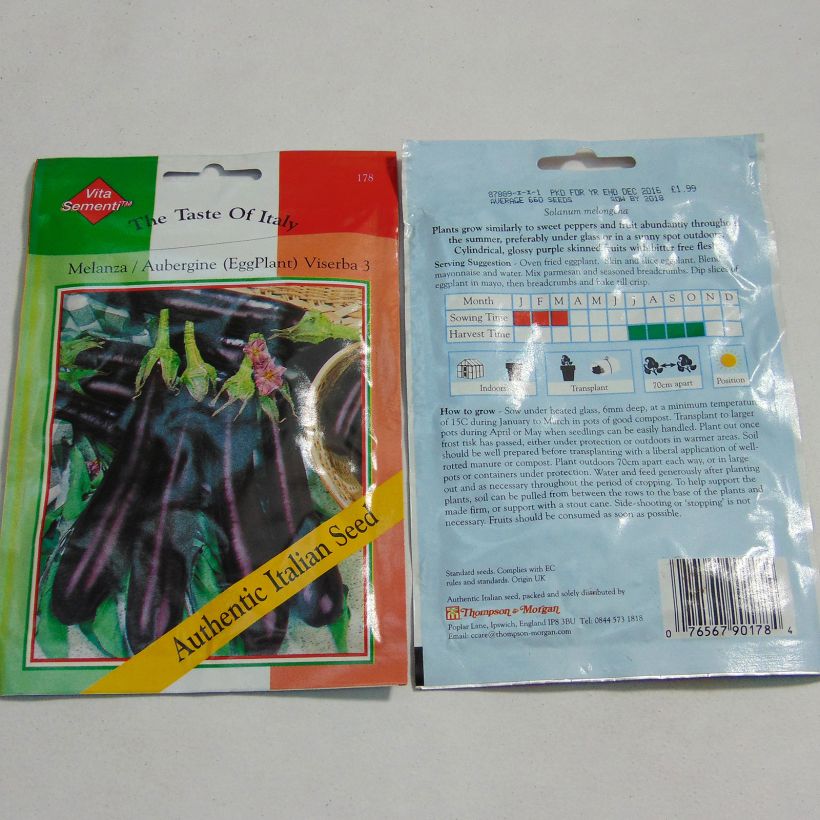 Exemple de spécimen de Aubergine Viserba 3 - Solanum melongea Graines tel que livré