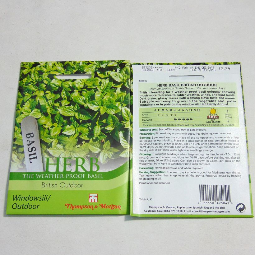Exemple de spécimen de Basilic British Outdoor Graines tel que livré