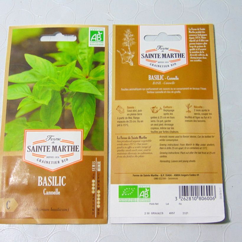 Exemple de spécimen de Basilic Cannelle Bio - Ferme de Sainte Marthe Graines tel que livré