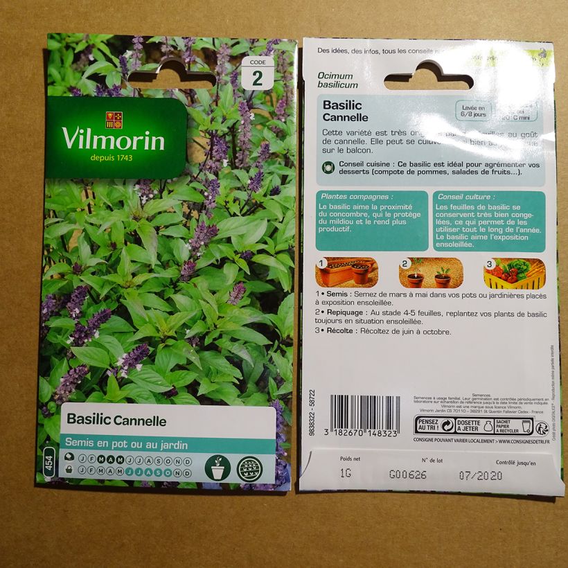 Exemple de spécimen de Basilic Cannelle - Vilmorin Graines tel que livré