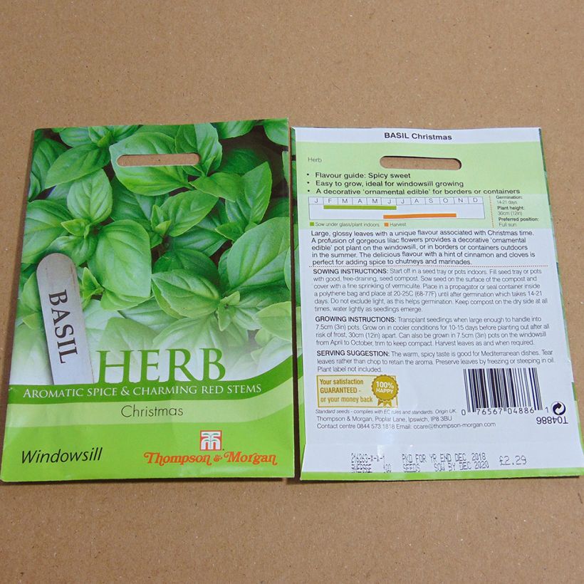 Exemple de spécimen de Basilic Christmas le sachet de 150 graines tel que livré