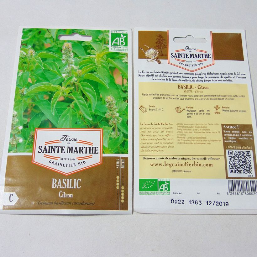 Exemple de spécimen de Basilic Citron Bio – Ferme de Sainte Marthe Graines tel que livré