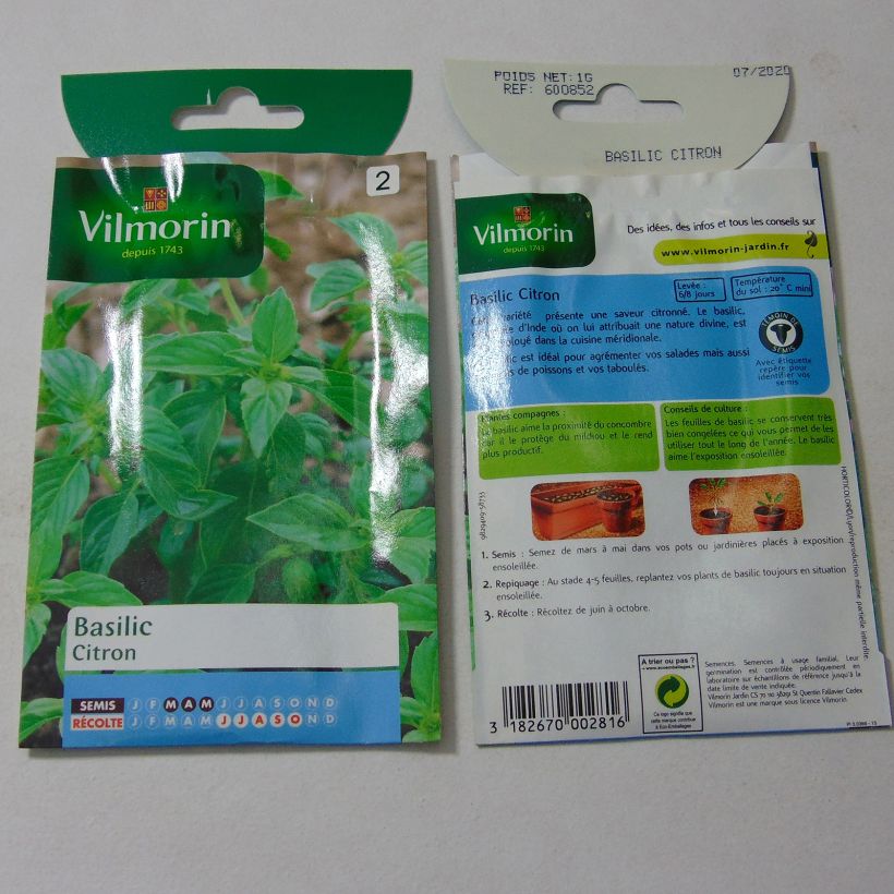 Exemple de spécimen de Basilic Citron - Vilmorin Graines tel que livré