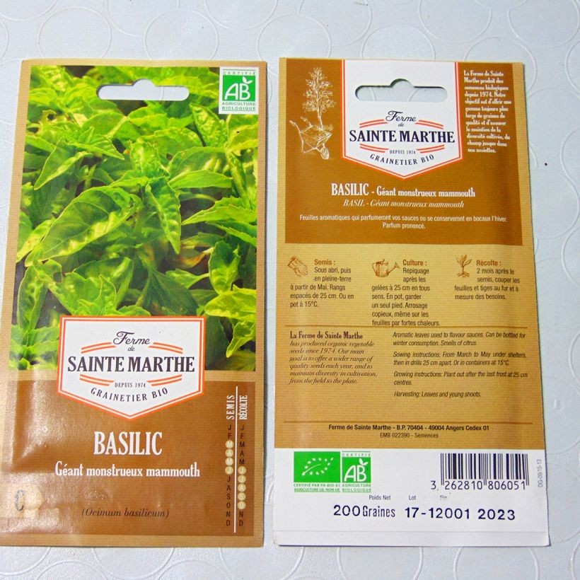 Exemple de spécimen de Basilic Géant Monstrueux Mammouth Bio - Ferme de Sainte Marthe Graines tel que livré
