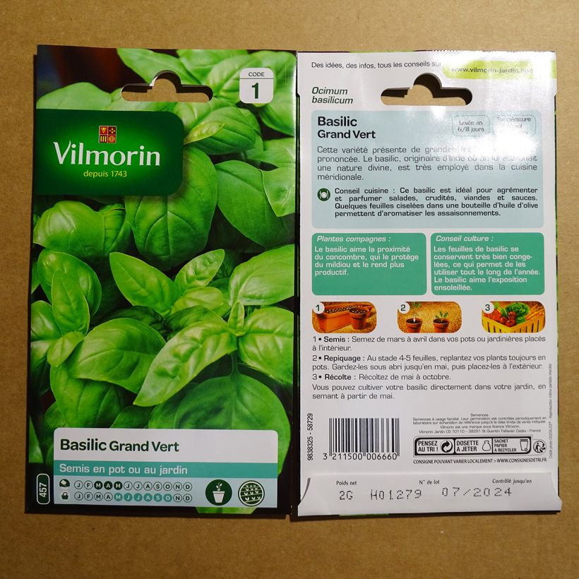 Exemple de spécimen de Basilic Grand vert - Vilmorin Graines tel que livré