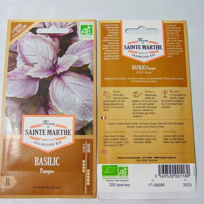 Exemple de spécimen de Basilic Pourpre Bio - Ferme de Sainte Marthe Graines tel que livré