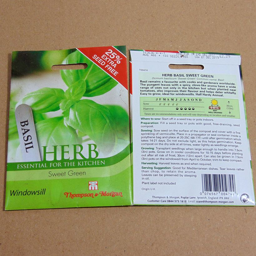Exemple de spécimen de Basilic Sweet Green Graines tel que livré
