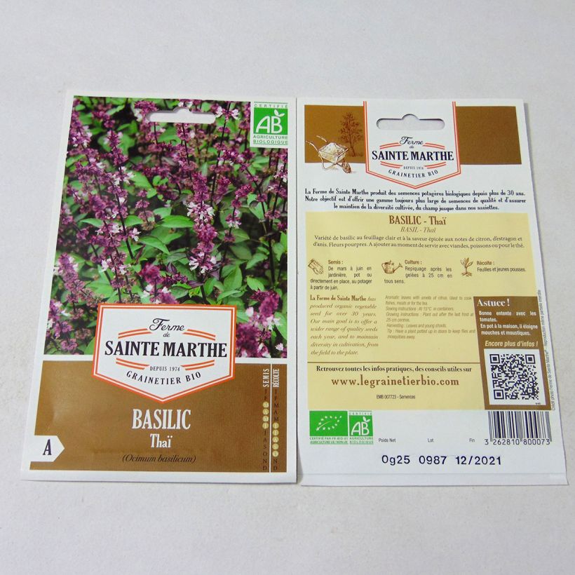Exemple de spécimen de Basilic Thaï Bio - Ferme de Sainte Marthe Graines tel que livré