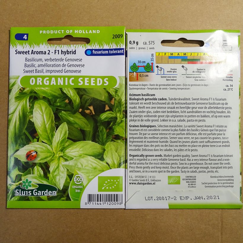 Exemple de spécimen de Basilic de Gênes Sweet Aroma F1 Bio Graines tel que livré