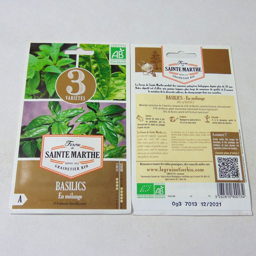 Exemple de spécimen de Basilics en mélange (Basilic Cannelle - Basilic Géant Monstrueux - Basilic Grand Vert) - Bio - Ferme de Sainte Marthe Graines tel que livré