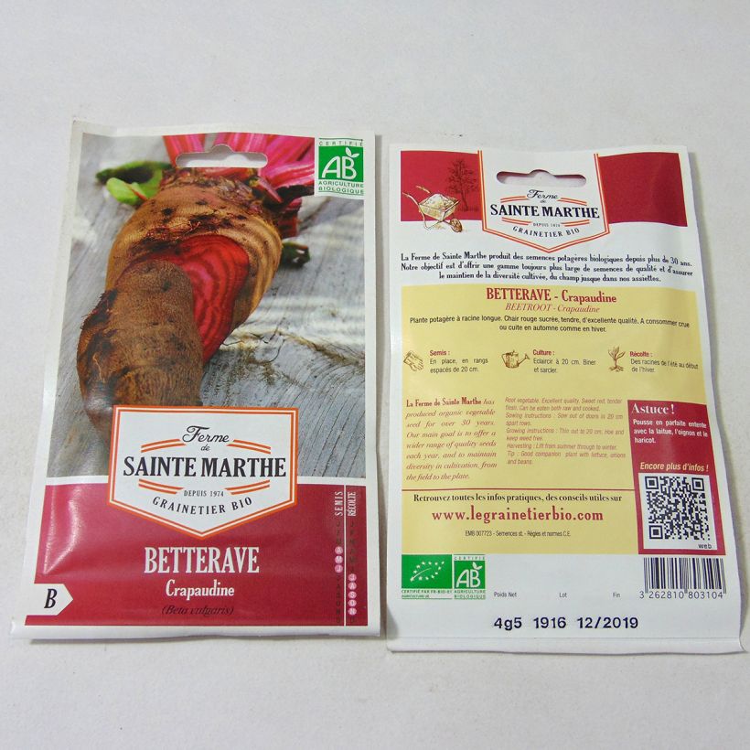 Exemple de spécimen de Betterave Crapaudine Bio - Ferme de Sainte Marthe tel que livré