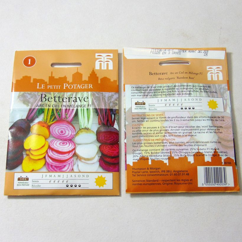 Exemple de spécimen de Betterave Rainbow Beet Graines tel que livré