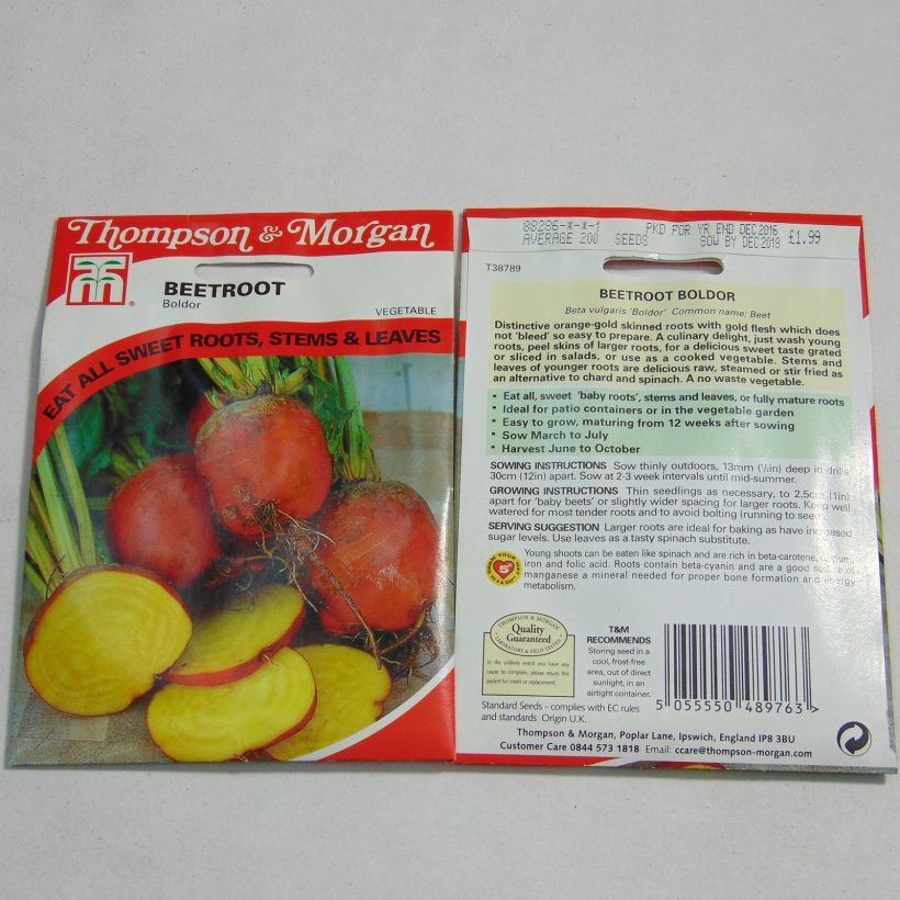 Exemple de spécimen de Betterave rouge Boldor - Beta vulgaris Graines tel que livré