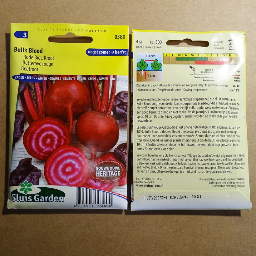 Exemple de spécimen de Betterave rouge Bull’s Blood Graines tel que livré