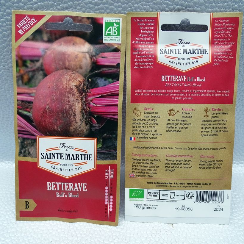Exemple de spécimen de Betterave rouge Bull's Blood Bio - Ferme de Sainte Marthe Graines tel que livré