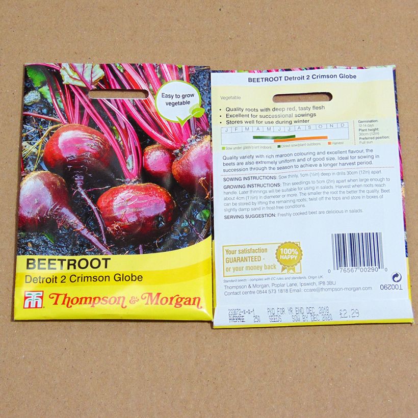 Exemple de spécimen de Betterave rouge Detroit 2 Crimson Globe - Beta vulgaris Graines tel que livré