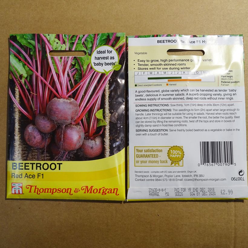 Exemple de spécimen de Betterave rouge Red Ace F1 - Beta vulgaris Graines tel que livré