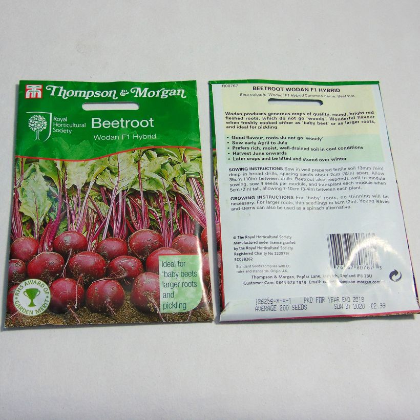 Exemple de spécimen de Betterave rouge Wodan F1 - Beta vulgaris Graines tel que livré