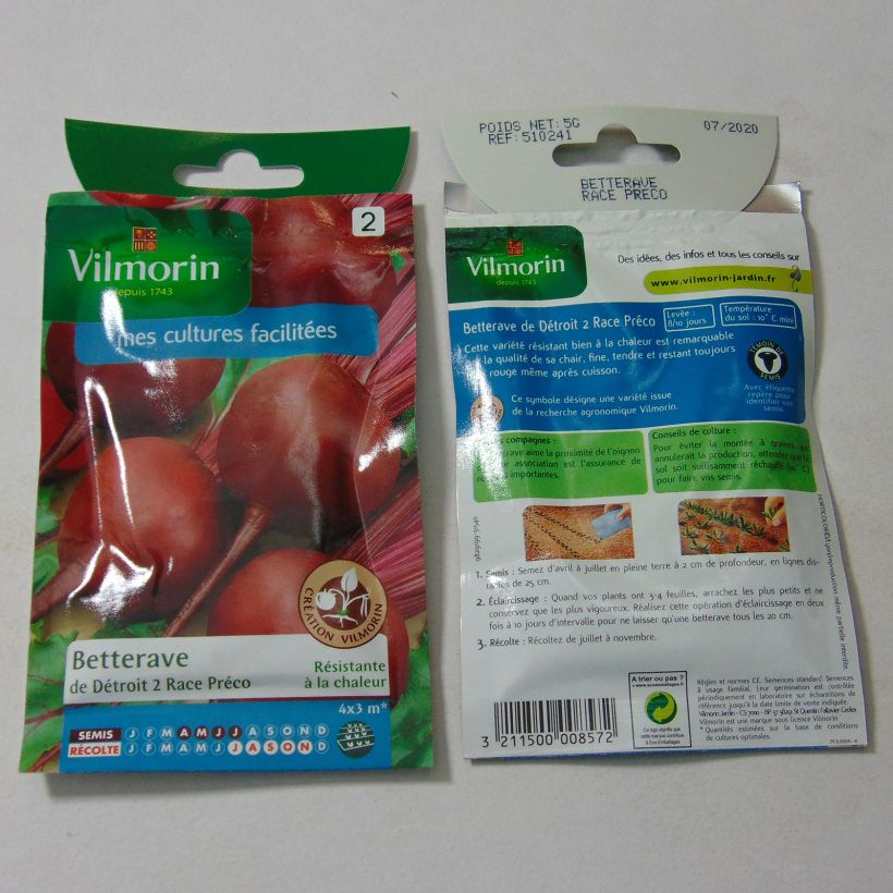 Exemple de spécimen de Betterave rouge de Détroit 2 race Préco (Sél. Vilmorin) - Vilmorin Graines tel que livré