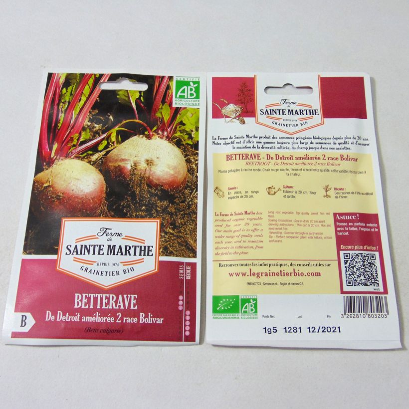 Exemple de spécimen de Betterave rouge de Detroit Améliorée 2 race Bolivar Bio- Ferme de Sainte Marthe Graines tel que livré
