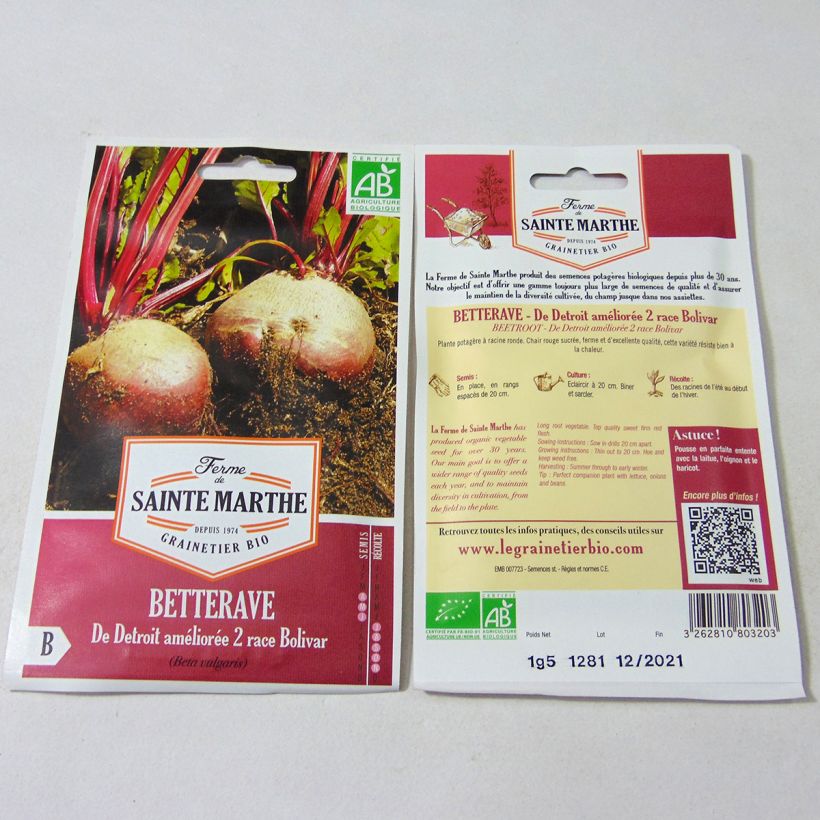 Exemple de spécimen de Betterave rouge de Detroit Améliorée 2 race Bolivar Bio- Ferme de Sainte Marthe tel que livré