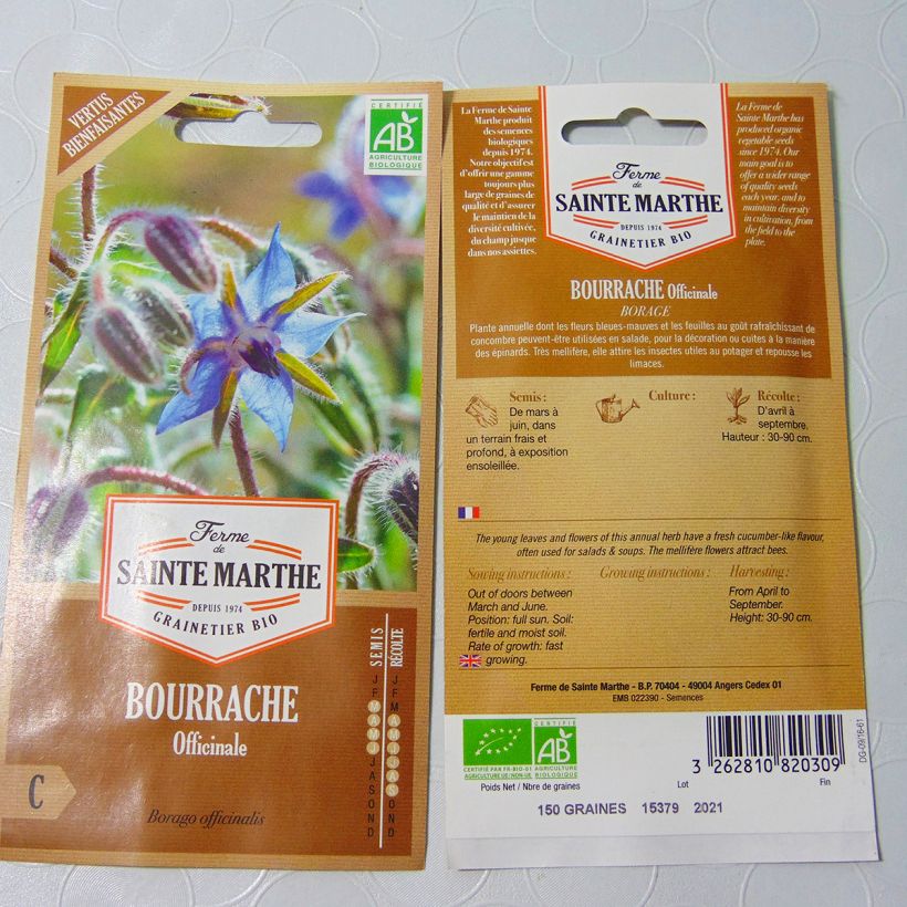 Exemple de spécimen de Bourrache blanche Bio - Ferme de Sainte Marthe Graines tel que livré