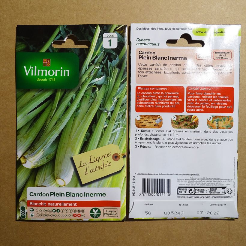 Exemple de spécimen de Cardon plein blanc inerme – Vilmorin Graines tel que livré