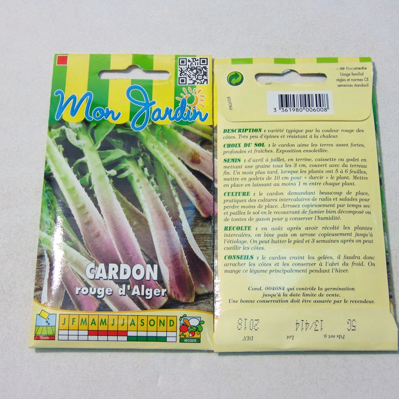 Exemple de spécimen de Cardon rouge d'Alger - Cynara cardunculus Graines tel que livré