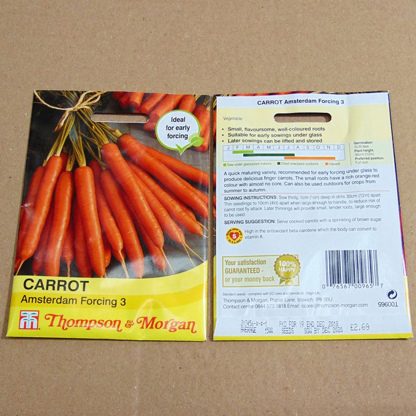 Exemple de spécimen de Carotte Amsterdam Forcing 3 - Daucus carota  Graines tel que livré