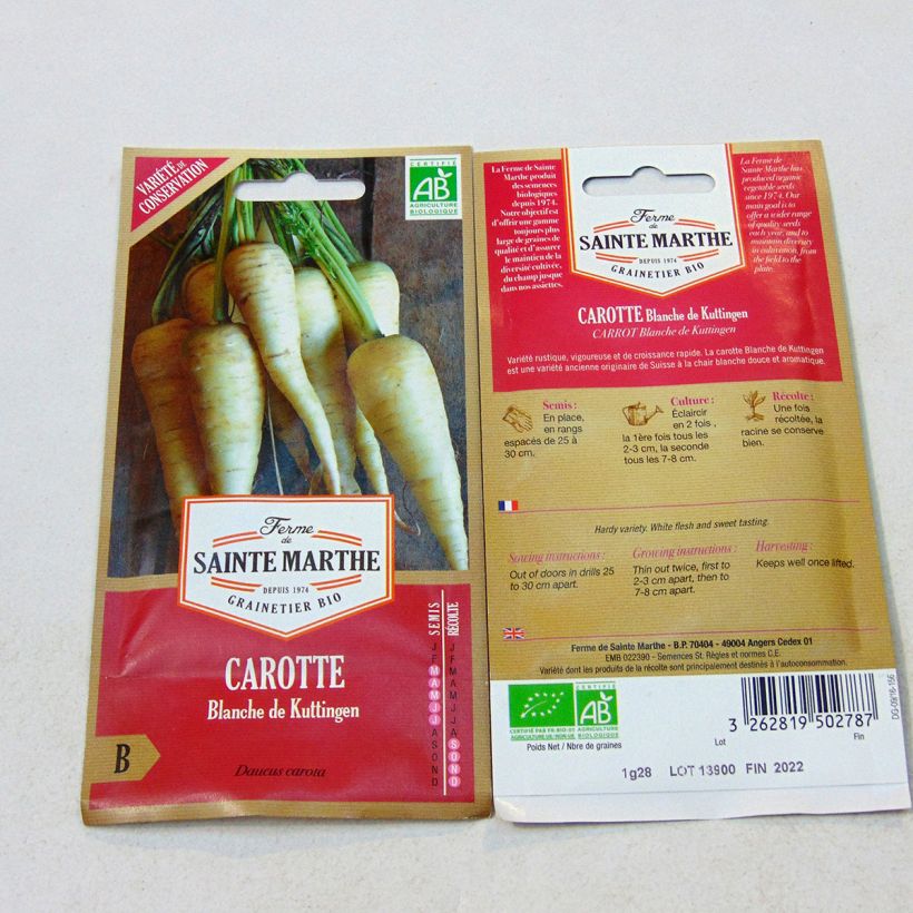 Exemple de spécimen de Carotte Blanche de Küttingen Bio - Ferme de Sainte Marthe Graines tel que livré