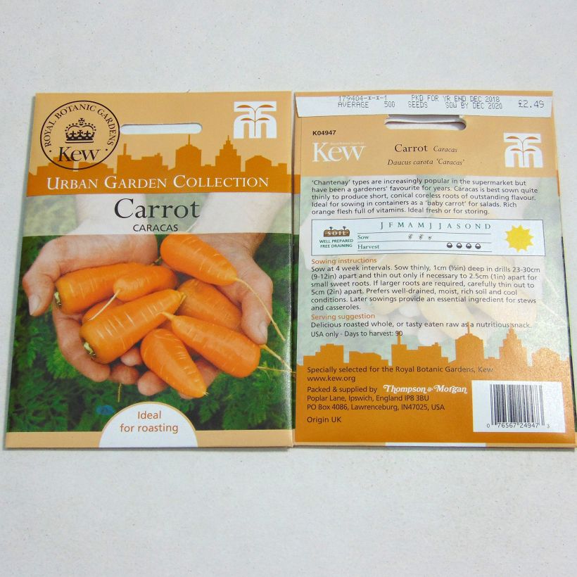 Exemple de spécimen de Carotte Caracas - Daucus carota  Graines tel que livré