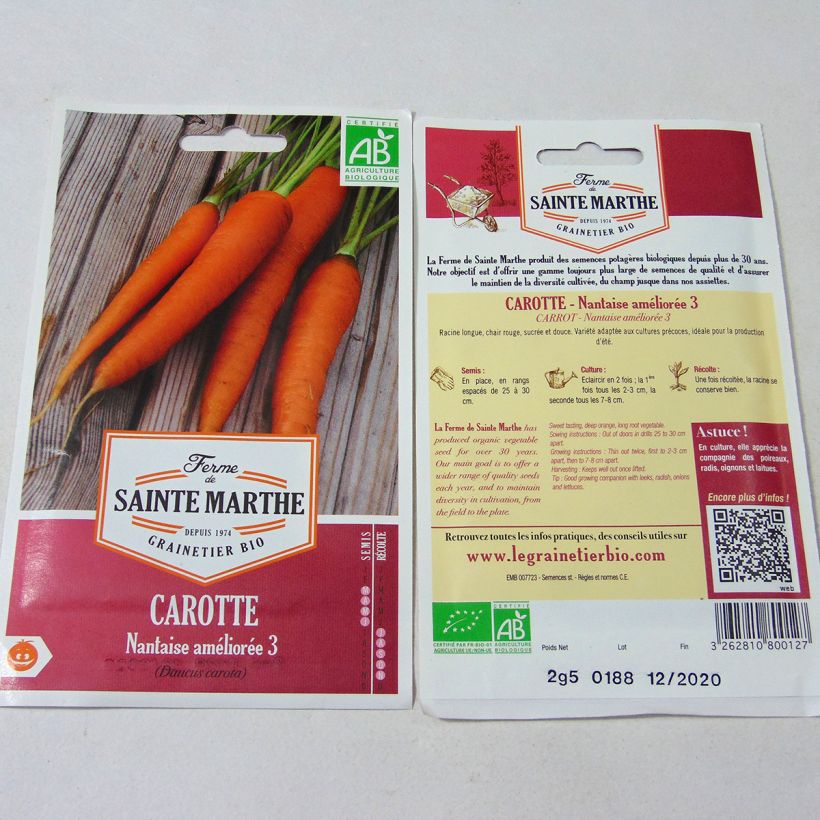 Exemple de spécimen de Carotte Nantaise améliorée 2 Bio - Ferme de Sainte Marthe Graines tel que livré