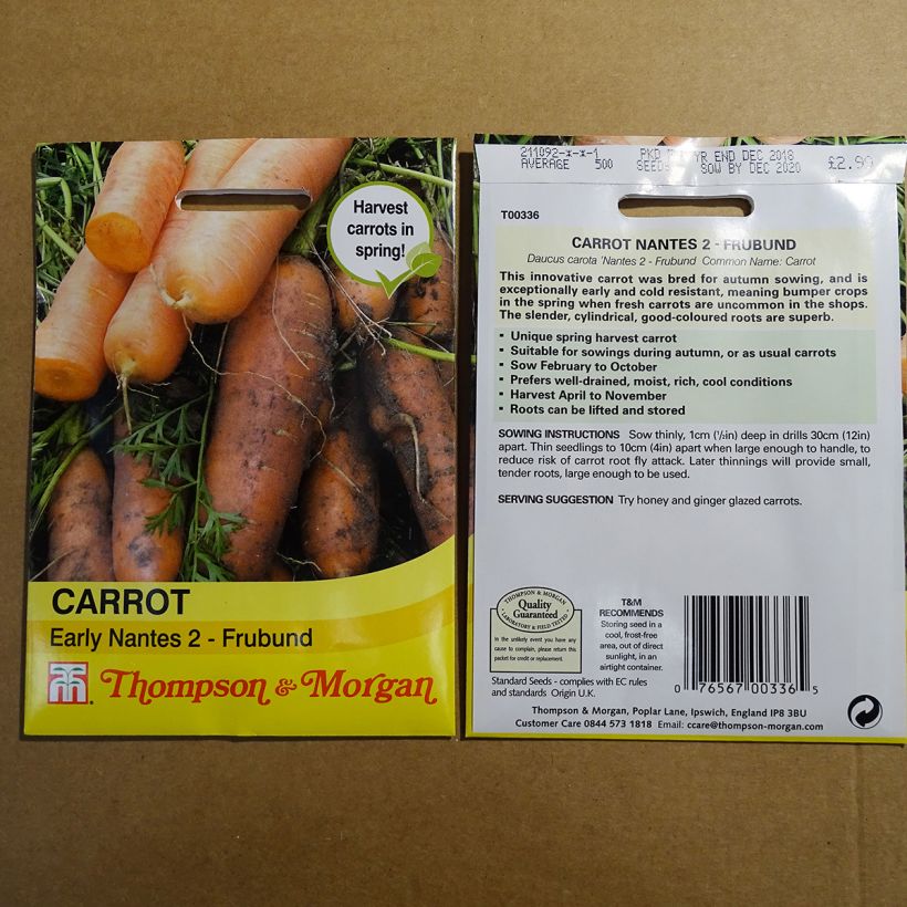Exemple de spécimen de Carotte Nantes 2 - Frubund - Daucus carota  Graines tel que livré