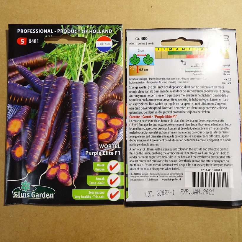 Exemple de spécimen de Carotte Purple Elite F1 Graines tel que livré