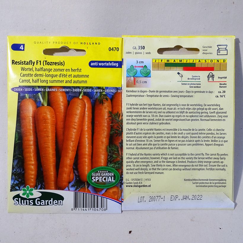 Exemple de spécimen de Carotte Resistofly F1 - Daucus carota tel que livré