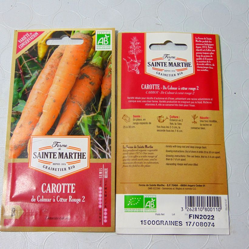 Exemple de spécimen de Carotte de Colmar à coeur rouge 2 Bio - Ferme de Sainte Marthe Graines tel que livré