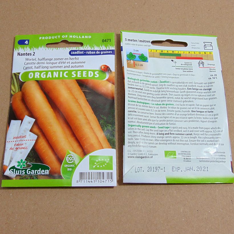 Exemple de spécimen de Carte ruban de Carotte Nantes 2 Bio - Daucus carota Graines tel que livré