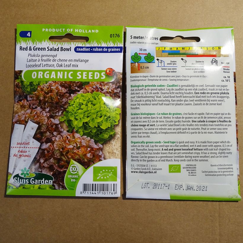 Exemple de spécimen de Carte ruban de Laitue à couper Salad Bowl verte et rouge en mélange Bio Graines tel que livré