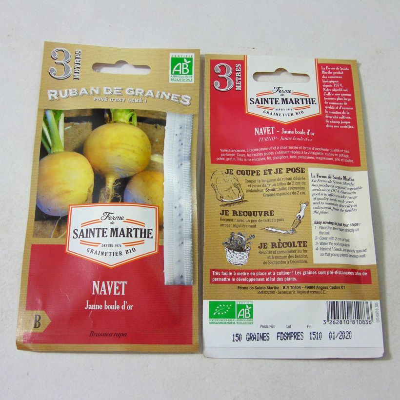 Exemple de spécimen de Carte ruban de Navet Jaune Boule d'Or Bio - Ferme de Sainte Marthe Graines tel que livré